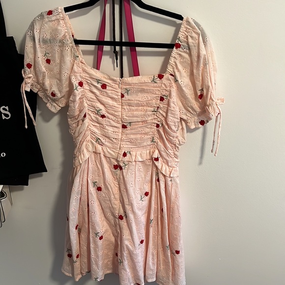 Hello Molly Pink Roses Dress - Picture 6 of 7